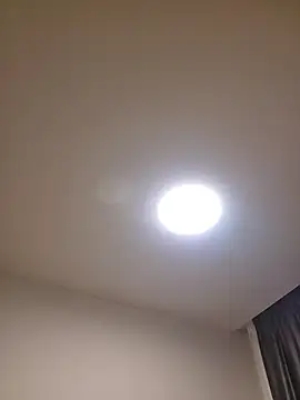 MiaRides19 webcam