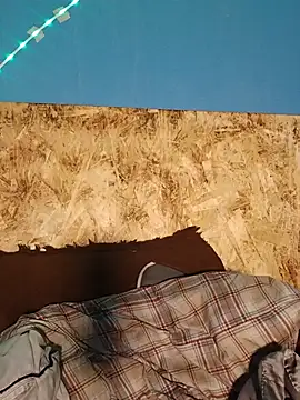 69_SINNS webcam