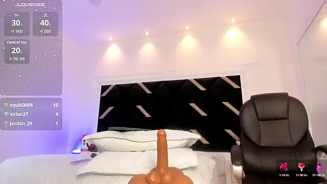 Alexa_Handler webcam