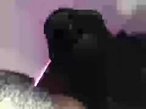 Dwarffuckingfinaxx webcam