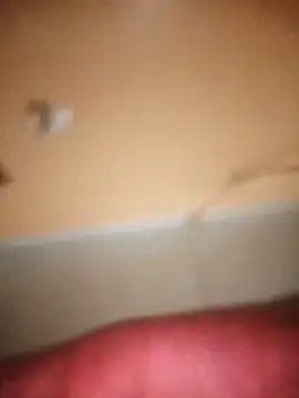 indianrachit webcam