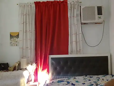 Sileves webcam