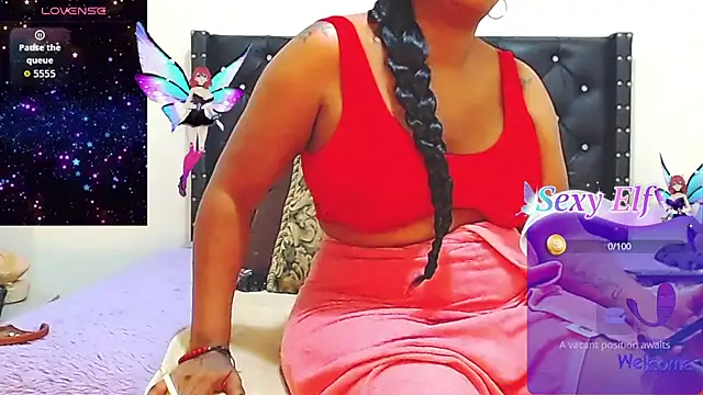 AnySugar webcam