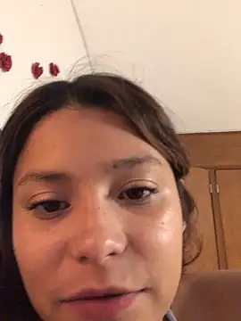 3littles webcam