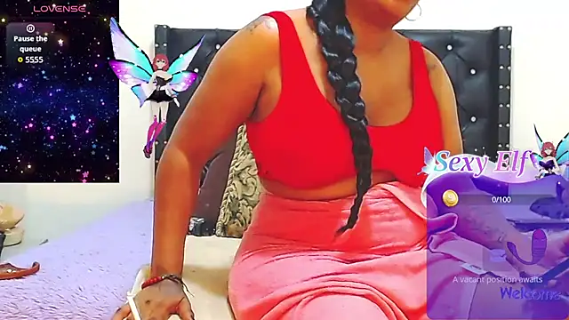 AnySugar webcam