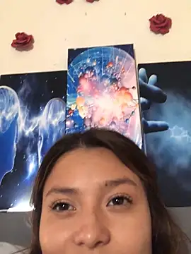 3littles webcam