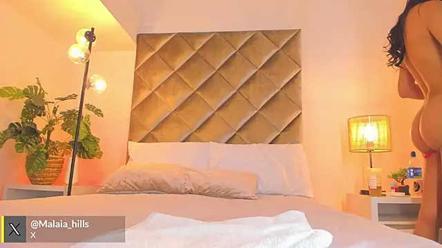malaia_hills webcam