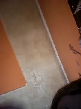 ducicsajsziii webcam
