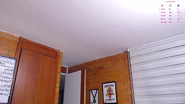Salome-sw webcam