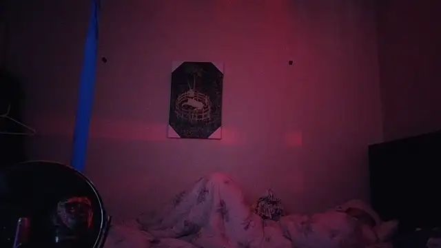 hailzeffn webcam