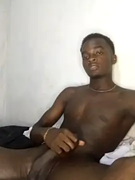Dullapk webcam