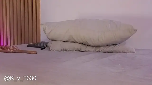 sofiesoft webcam