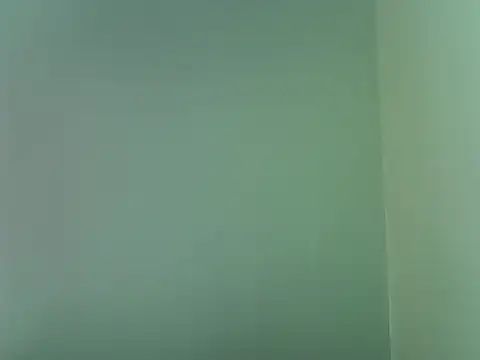 Lexyshiz webcam