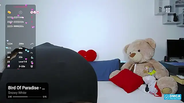 -Lorik- webcam