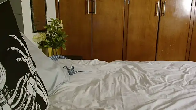 3littles webcam