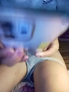 -sansan- webcam