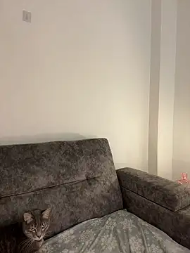 kallymyller1 - KallyMyller1's free webcam - UK Sex Cams