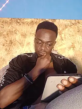 69_SINNS webcam