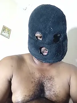 Hiptonos webcam