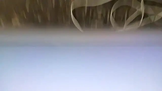 Nathan_chase webcam