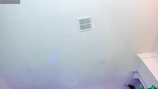 willy_diamond webcam