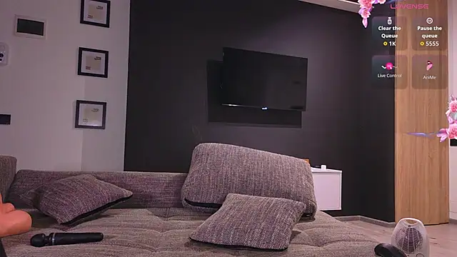 lyv_ty webcam