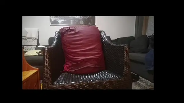 Tyyson03 webcam