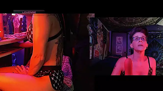 nephilaaranea webcam
