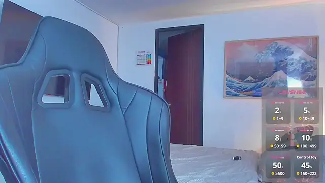 RJBarto webcam