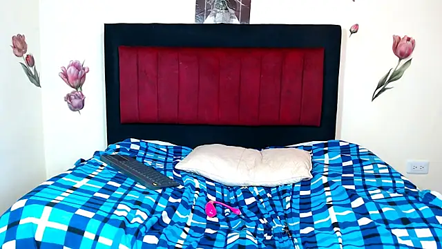Valeryxs webcam