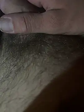 gicolin webcam