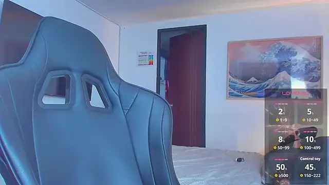 RJBarto webcam