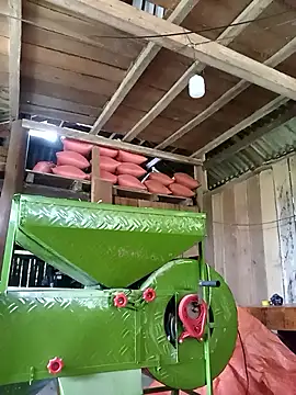 porn cam free Ngocmi909