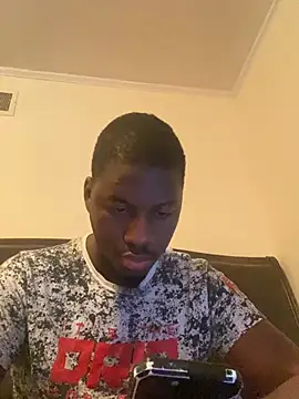 ThickDic28 webcam
