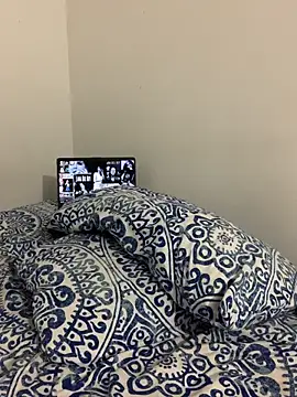 La-Gatiita-trans webcam