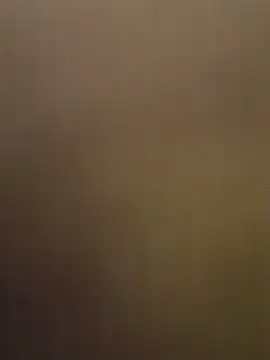 MR_Fapprr webcam