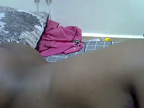 verl1 webcam