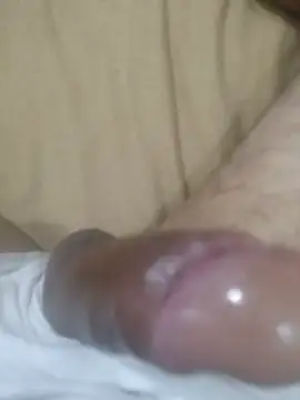 MalditoModelo