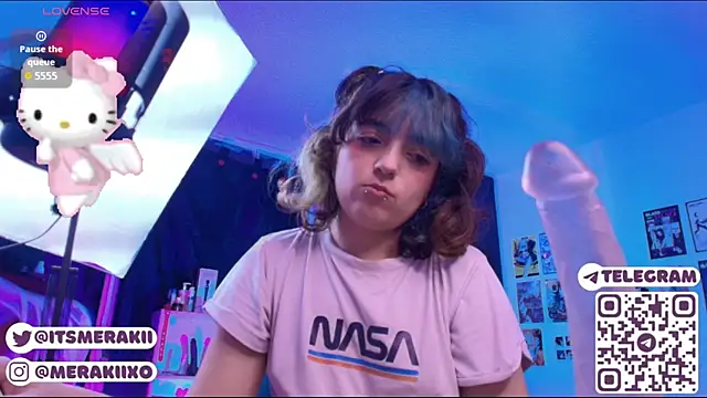 meraki_fraise webcam