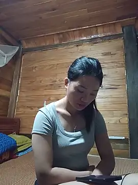 Td3di webcam