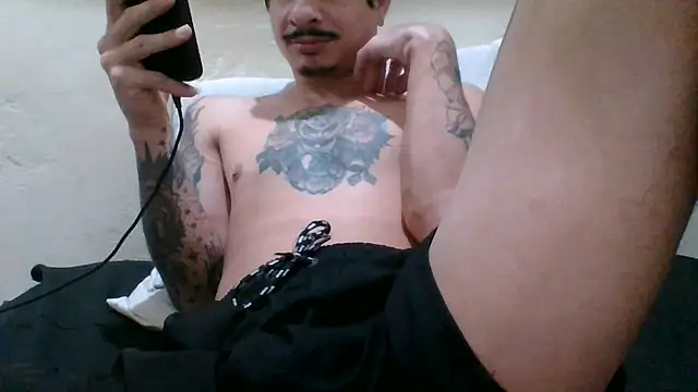 Icepappi webcam