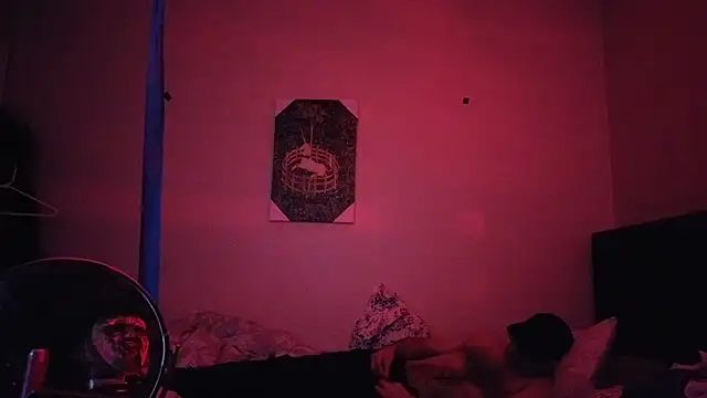 hailzeffn webcam