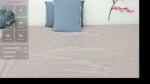 Kiraeko webcam