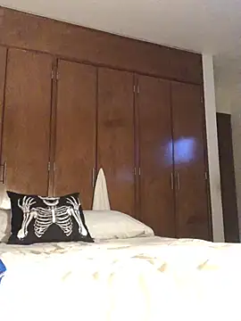 3littles webcam