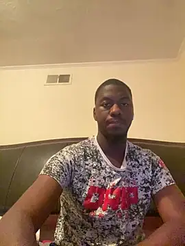 ThickDic28 webcam