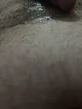 Dotato28cm webcam