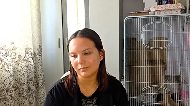 AtticNobel webcam