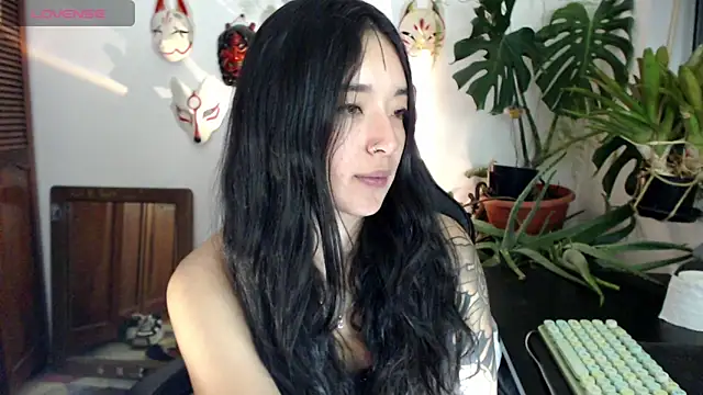 cat_salo webcam