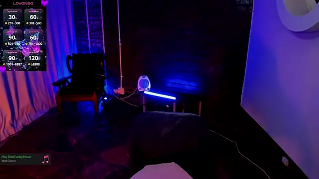 cee2nv webcam
