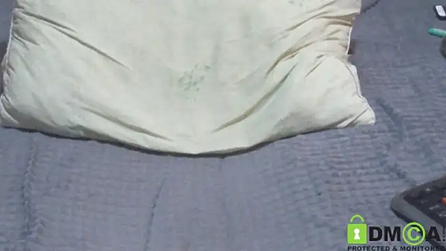 JumboBrain webcam